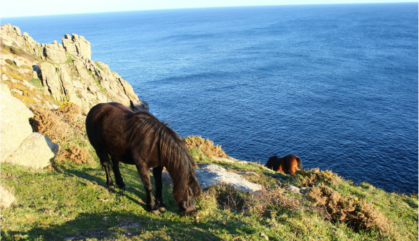 sustainable travel in Cornwall