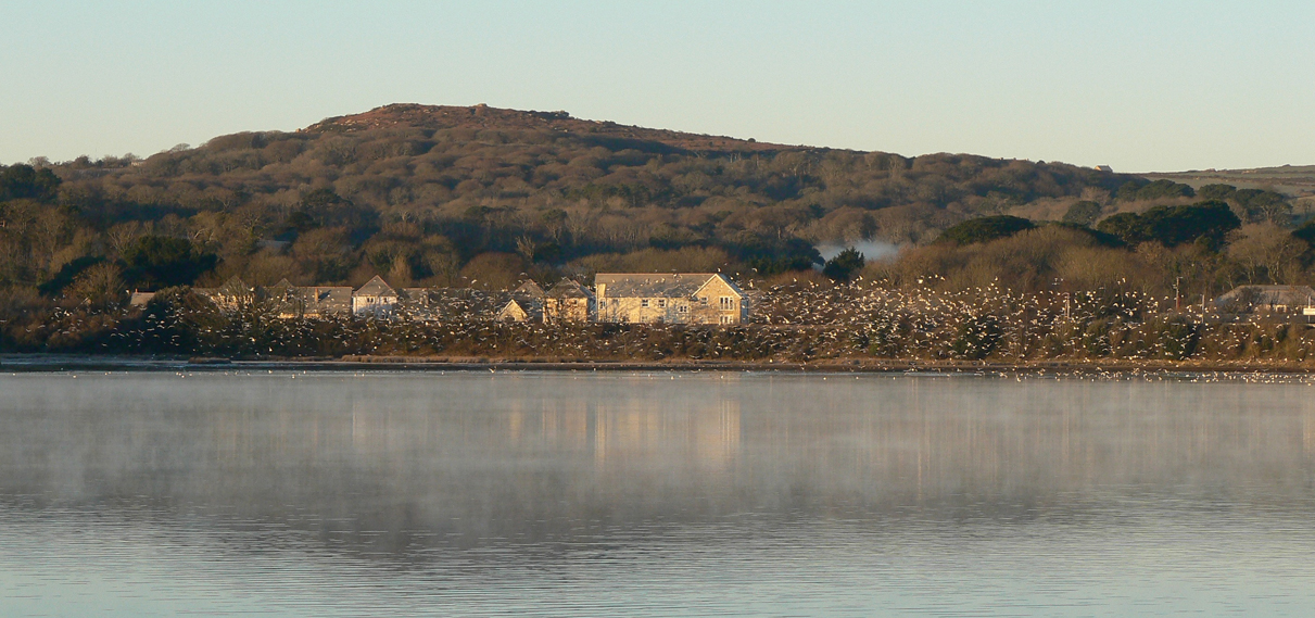 Lelant and Saltings Reach Luxury Cottages near St Ives